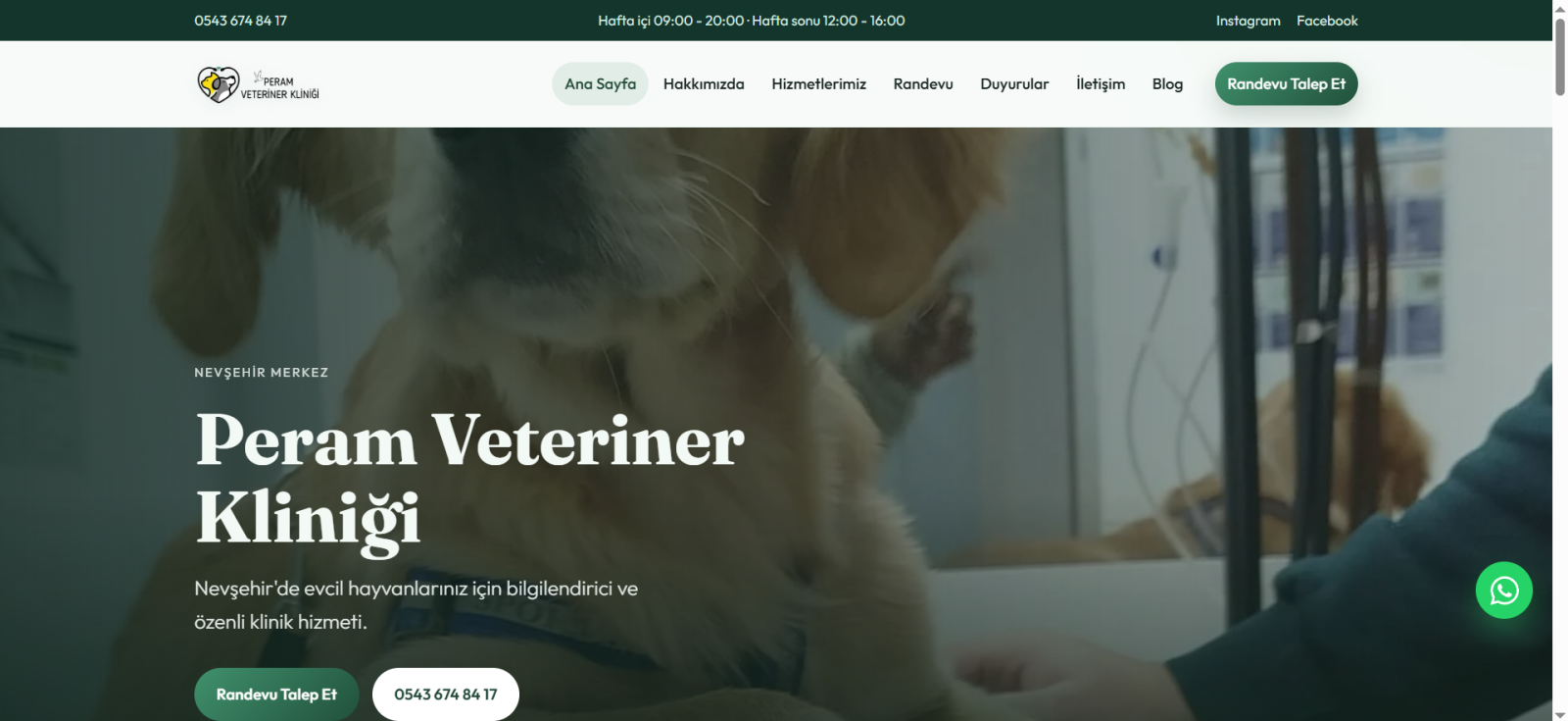 Veteriner web sitesi çalışmamız (referans)